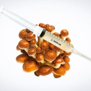A cluster of brown mushrooms with white speckles is shown with a transparent syringe labelled PROLAB resting on top of them, against a plain white background.