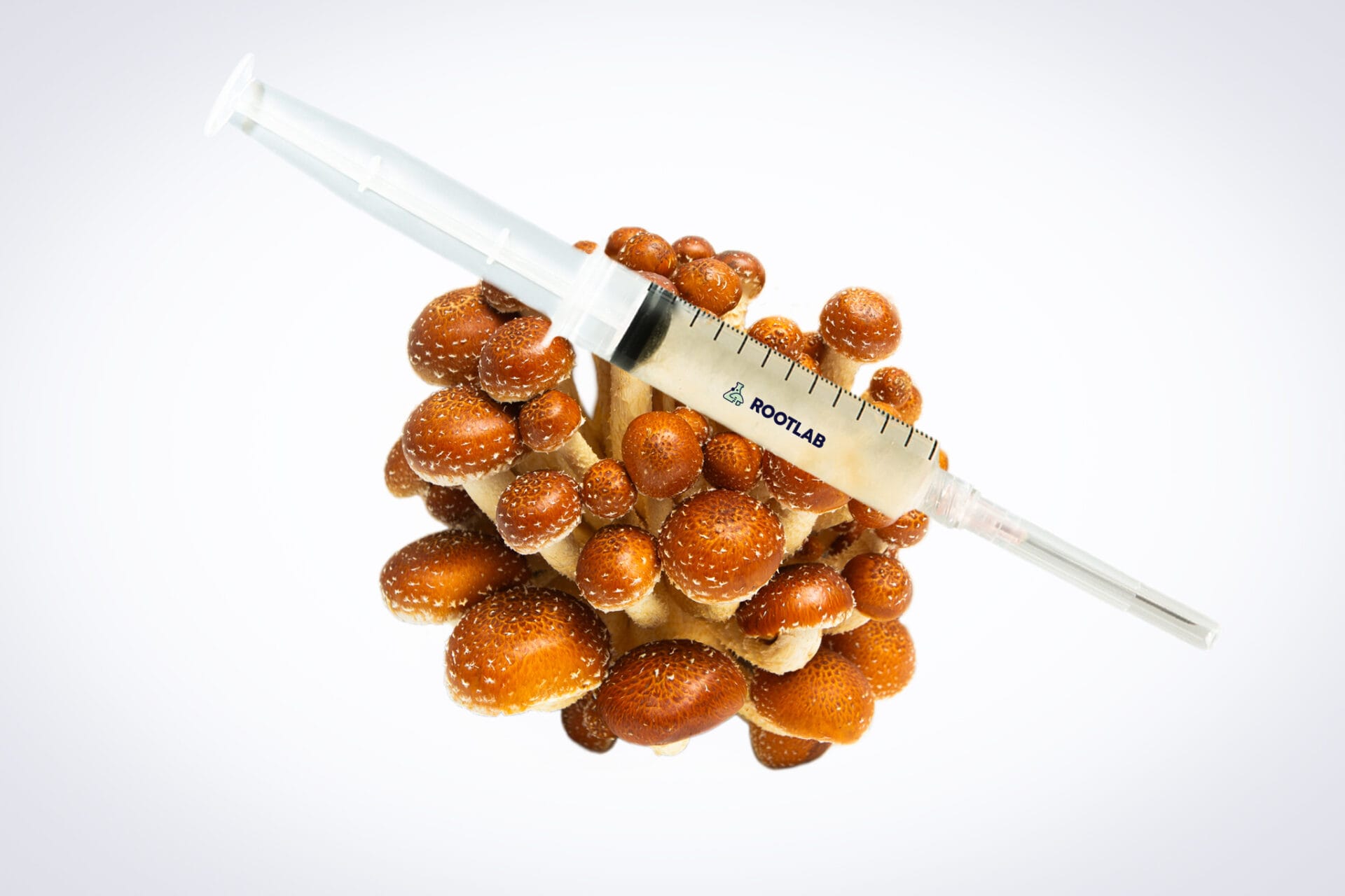 Mushroom Liquid Culture | Chestnut | Pholiota adiposa 1 A cluster of brown mushrooms with white speckles is shown with a transparent syringe labelled PROLAB resting on top of them, against a plain white background.