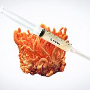 A syringe filled with a yellowish liquid rests on top of an orange cordyceps fungus against a plain light background.