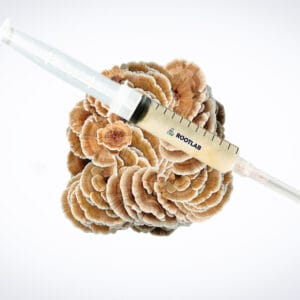 A syringe filled with a light-coloured liquid rests on top of a cluster of brown and white turkey tail mushrooms, with a white background.