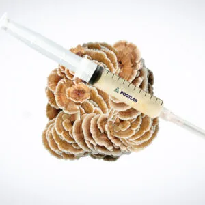 A syringe filled with a light-coloured liquid rests on top of a cluster of brown and white turkey tail mushrooms, with a white background.