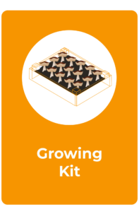An illustration of a rectangular mushroom growing kit from rootlab, filled with several mushrooms, set against an orange background with the words Growing Kit below the image. Perfect for any Mushroom Supplies Shop display.