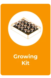 An illustration of a rectangular mushroom growing kit from rootlab, filled with several mushrooms, set against an orange background with the words Growing Kit below the image. Perfect for any Mushroom Supplies Shop display.