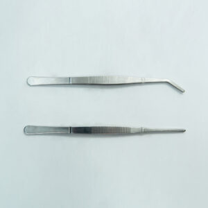 Two Stainless Steel Plant Tissue Culture Lab Forceps (25cm) with serrated grips are placed parallel on a light surface—one features a curved tip, whilst the other has a straight tip.