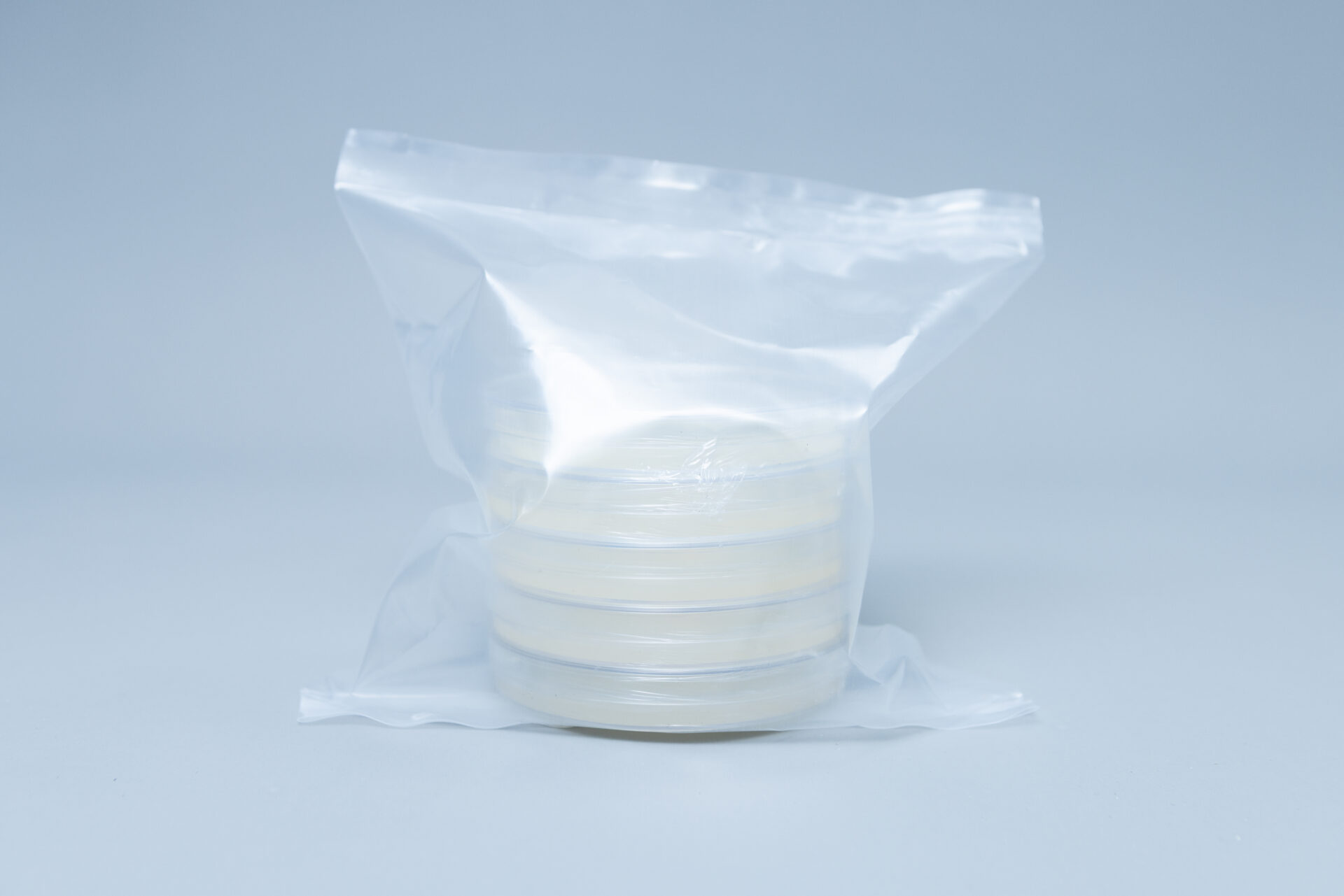 Potato Dextrose Agar (PDA) plates Pre poured 90mm 8 A clear plastic bag containing four stacked petri dishes with a light-coloured substance inside, placed against a plain light background.