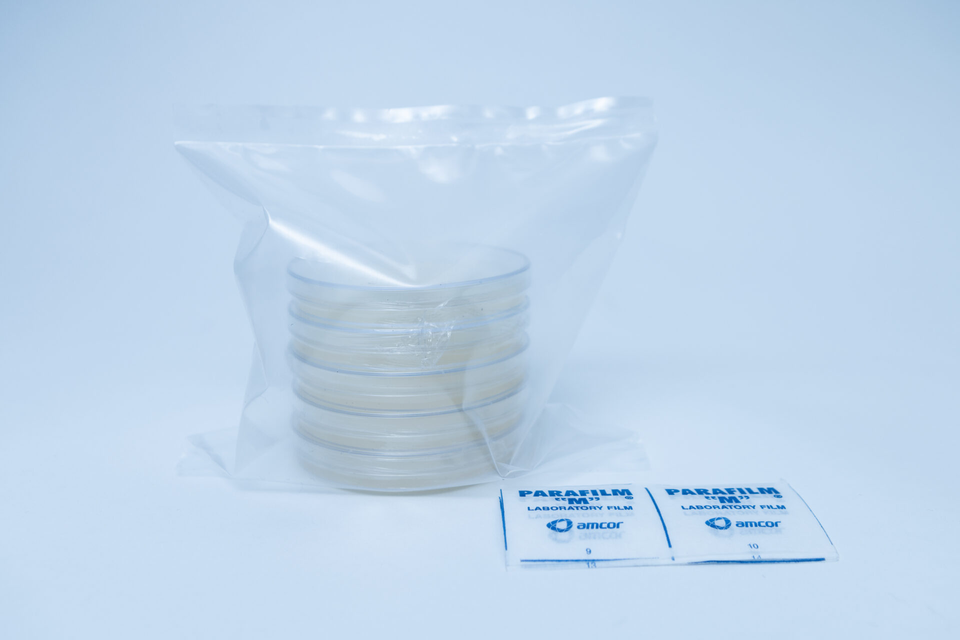 Potato Dextrose Agar (PDA) plates Pre poured 90mm 7 A stack of petri dishes in a clear plastic bag is shown alongside two sealed squares of Parafilm laboratory film, placed on a white background.