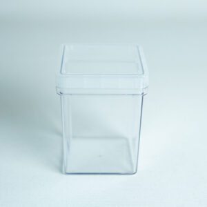 Home 10 A clear, empty Tissue Culture square culture vessel with a fitted lid is placed upright on a light, neutral surface. The vessel resembles a rectangular plastic container, and the background is plain and evenly lit.