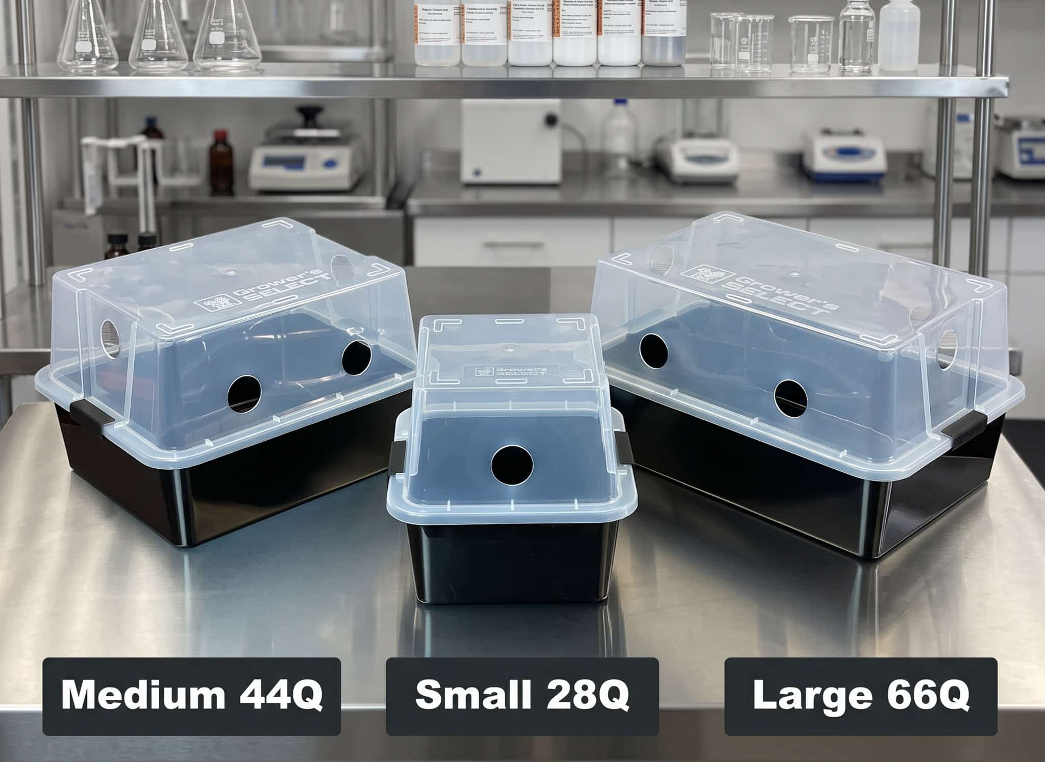 Mushroom Monotub Fruiting Chamber : Hard case 1 Three black plastic bins with clear lids labelled Medium 44L, Small 28L, and Large 66L are displayed on a stainless steel table in a laboratory setting. Each lid has vent holes. Laboratory equipment is in the background.