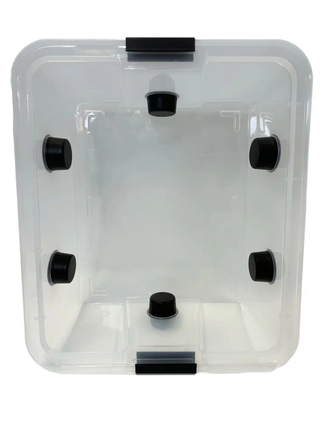 Mushroom Monotub Fruiting Chamber : Hard case 3 A clear plastic square box with five black circular knobs on the sides and two black catches on the edge. The box is shown from above against a white background.
