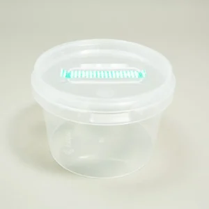 Home 10 Clear, round Mycrobox Polypropylene plant tissue Container with air filter | Reusable | O118/80 featuring a fitted lid with an integrated air filter strip.